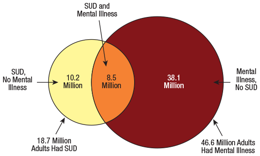 figures for dual diagnosis Inpatient Dual Diagnosis Treatment Centers